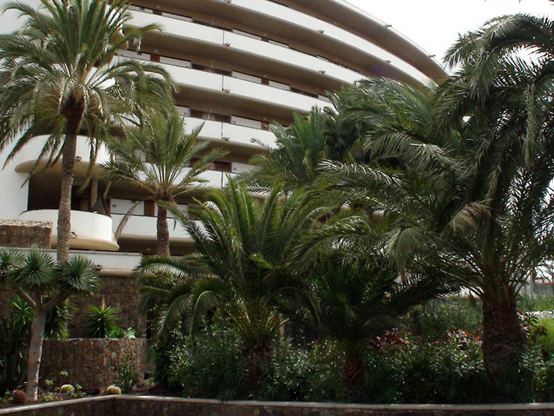 Riu Palace Palmeras 普拉亚戴尔雷安格莱斯 外观 照片